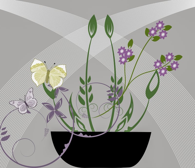 Indoor Plants